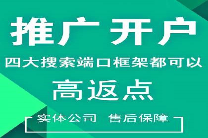 SEM托管服务成功案例：见证品牌成长
